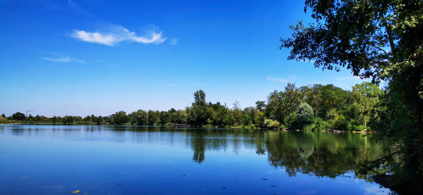 istock The reflections of the forest 1283092474