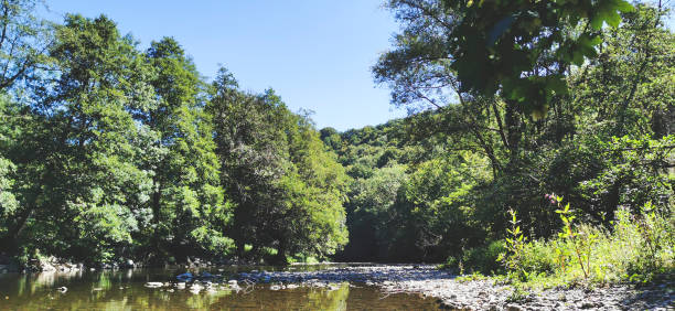 istock A river in the Ardennes 1283092569