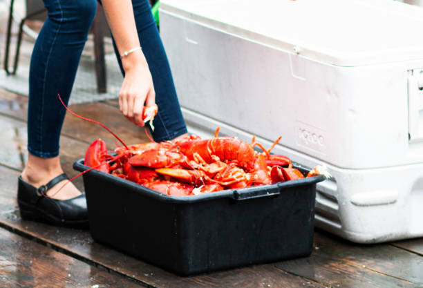 istock Picking out steamed lobsters out of a black container 1283094359