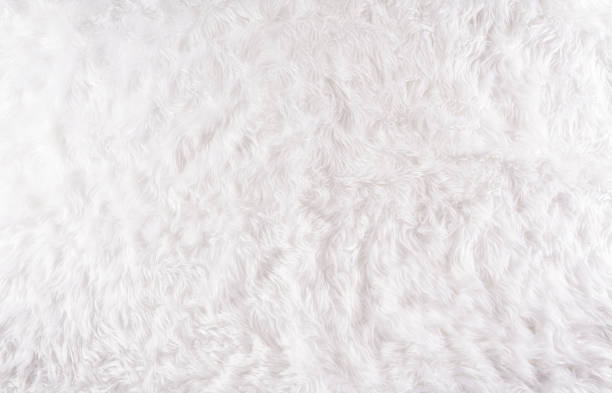 istock Winter cozy background made from wool carpet, Top view with copy space. 1283096561