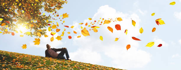 istock Colorful bright leaves falling in autumnal park. 1283097563