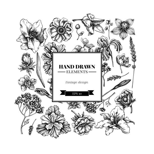 квадратный цветочный дизайн с черно-белым анемоном, лавандой, розмарином, фалаенопсисом, лилией, радужной оболочкой - iris ink and brush sign flower stock illustrations