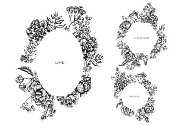 Vector illustration of Floral frames with black and white wax flower, forget me not flower, tansy, ardisia, brassica, decorative cabbage