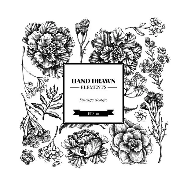 Vector illustration of Square floral design with black and white wax flower, forget me not flower, tansy, ardisia, brassica, decorative cabbage