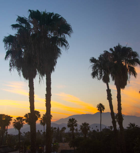 istock Sunset with palm trees-Riverside, California 1283107473