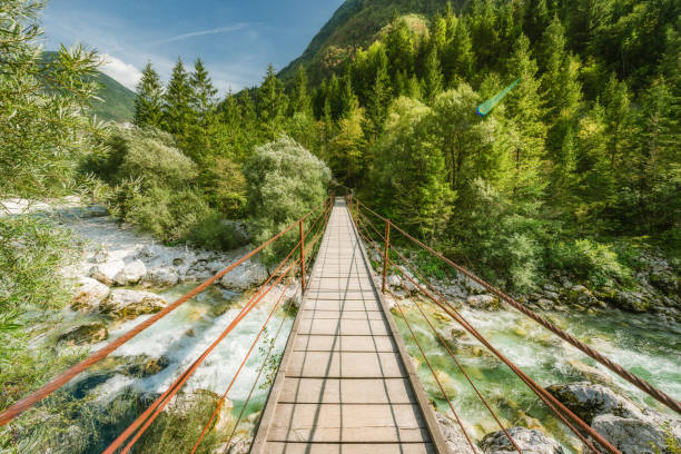 istock suspension bridge over clear mountain river 1283124760