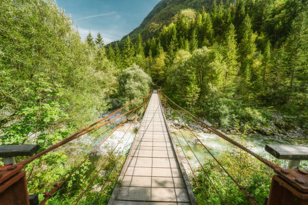 istock suspension bridge over clear mountain river 1283124831