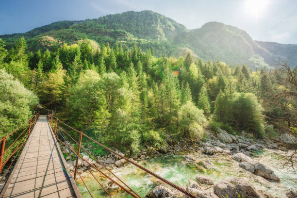 istock suspension bridge over clear mountain river 1283125704
