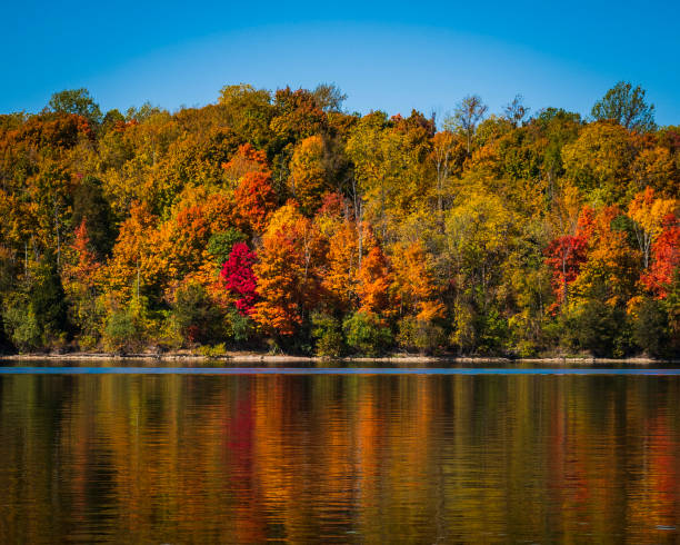 istock Fall colors refection on the lake 1283126780