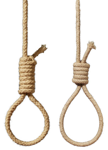istock noose isolated on white. suicide concept 1283133867