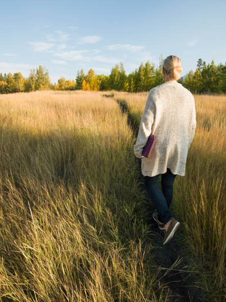 woman walks along footpath through grassy meadow in the morning - footpath field nature contemplation imagens e fotografias de stock