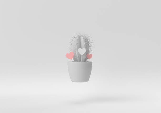 istock Creative minimal paper idea. Concept white and pink cactus lover with white background. 3d render, 3d illustration. 1283134999