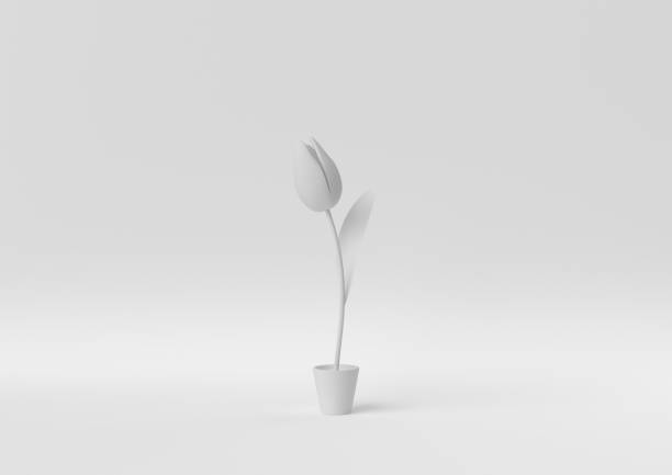 Creative minimal paper idea. Concept white flower with white background. 3d render, 3d illustration. Creative minimal paper idea. Concept white flower with white background. 3d render, 3d illustration. artificial flower stock pictures, royalty-free photos & images