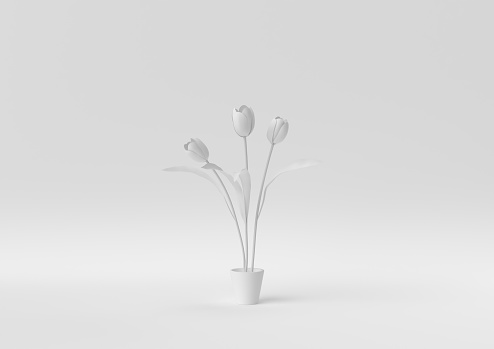 Creative minimal paper idea. Concept white flower with white background. 3d render, 3d illustration.