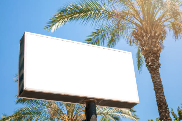istock empty advertising commercial banner with mockup under palm tree 1283142348
