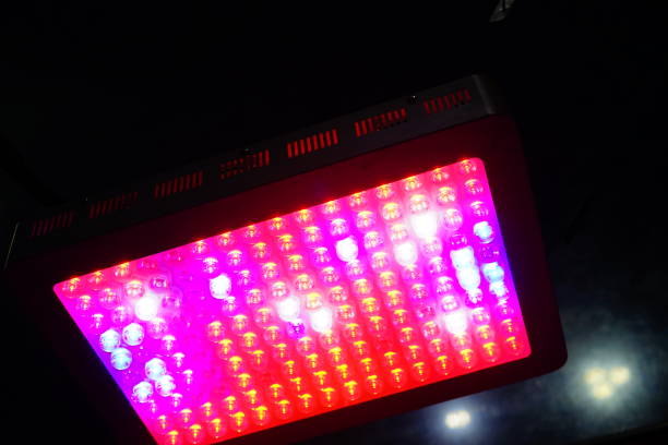 istock LED Photo lamp for plants with spectrum 1283144486