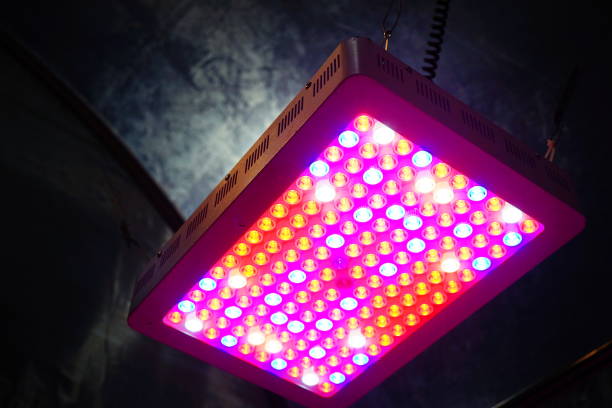 istock LED lamp for plants with spectrum 1283144491