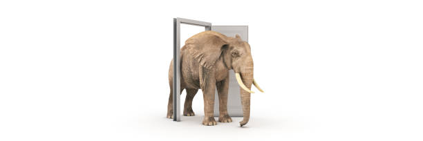 istock The big elephant enters opened door. 3d rendering 1283145472