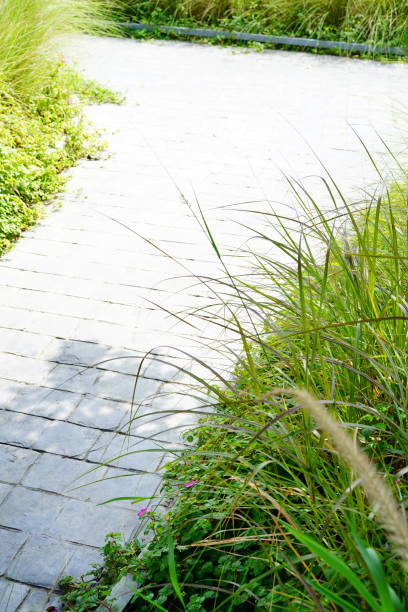 istock Close-up walkway fron stone in garden 1283147401