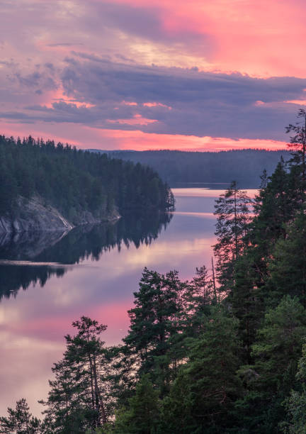 Scenic forest and lake landscape with tranquil mood and colourful sunset at summer morning in Finland Scenic forest and lake landscape with tranquil mood and colourful sunset at summer morning in Finland silhouette evergreen tree back lit pink stock pictures, royalty-free photos & images