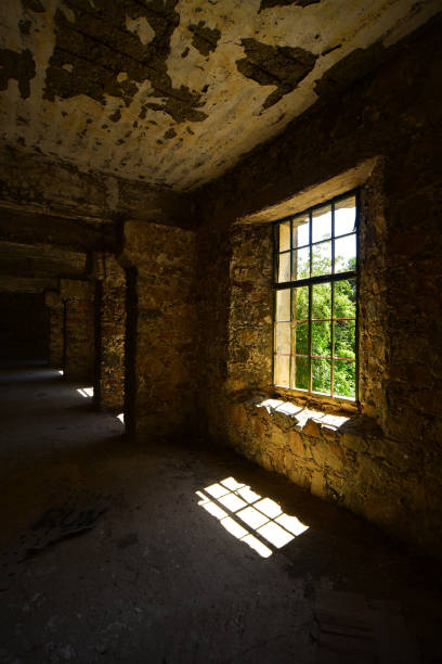 istock Row of glassless window frame grids casting shadows with trees outside 1283148719