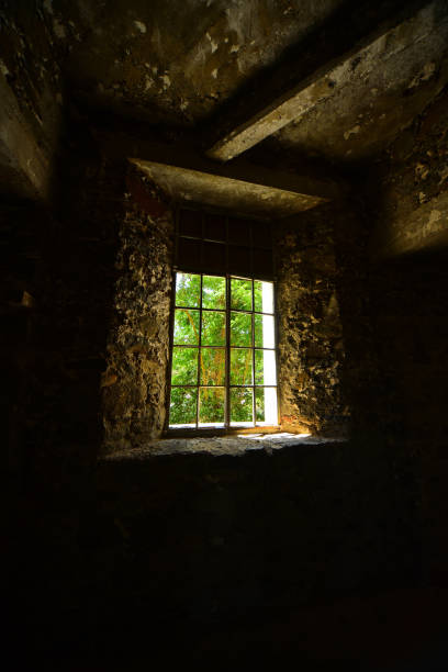 istock Trees viewed through window frame grid in dark stone and concrete ruins 1283148916