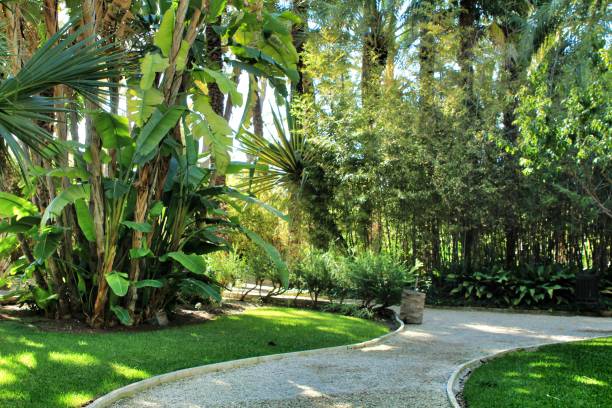 istock Green vegetation in a botanical garden in Elche 1283150840