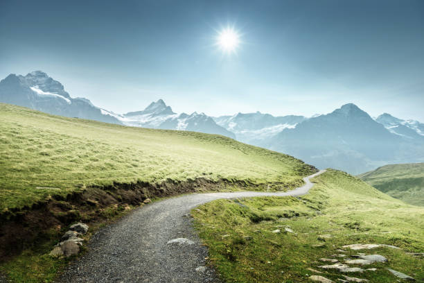 grindelwald valley from the top of first mountain, switzerland - jungfrau photography landscapes nature imagens e fotografias de stock