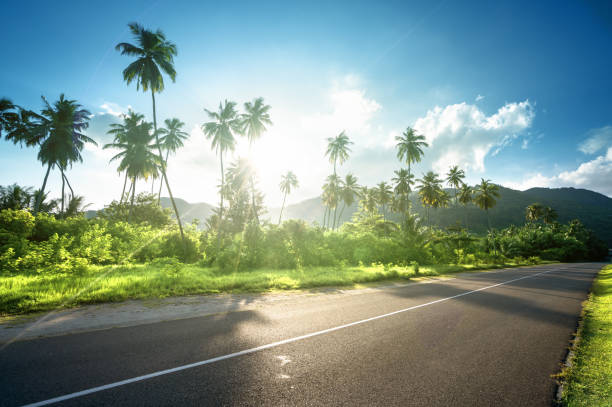 empty road in jungle of Seychelles islands