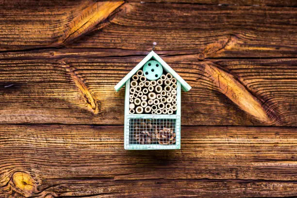 Photo of Small wooden beehive for mason bees on wooden wall