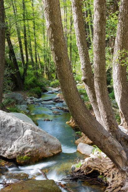 Rio Andarax at its source in Laujar, Spain