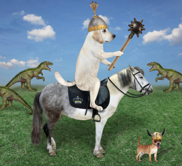 istock Dog with mace rides gray horse 2 1283153308