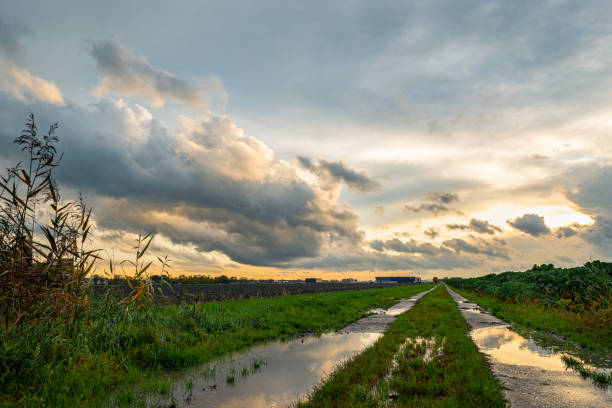 Countryside with rain puddles on a  dirt road, while the last sun lit clouds are moving away.