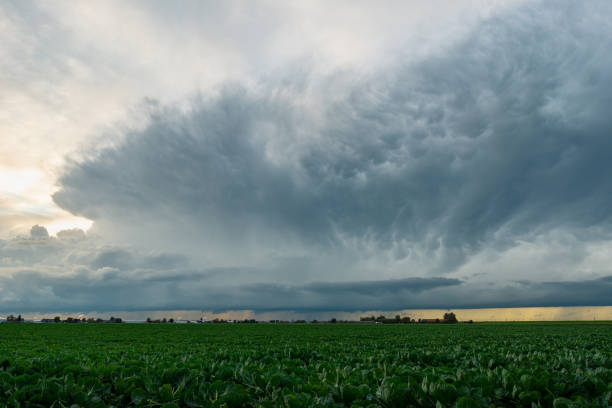 istock Strong storm with huge anvil and mammatus 1283155964