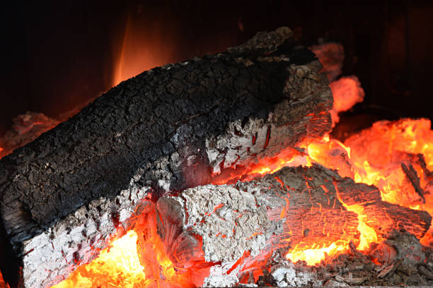 istock wood burning in the fireplace 1283159497