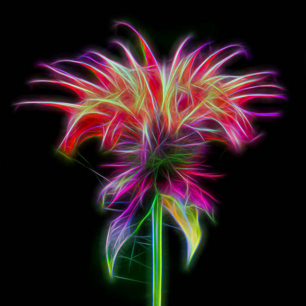 istock Scarlet monarda flower photo digitally modified 1283166032