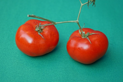 two large ripe red tomatoes on a branch lie on a green table