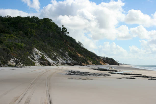 praia da costa leste com manguezais em fraser island, queensland, austrália - 4wd 4x4 convoy australia - fotografias e filmes do acervo