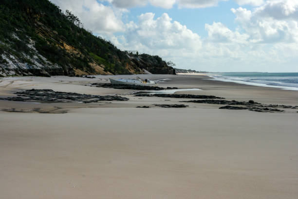 praia da costa leste com manguezais em fraser island, queensland, austrália - 4wd 4x4 convoy australia - fotografias e filmes do acervo