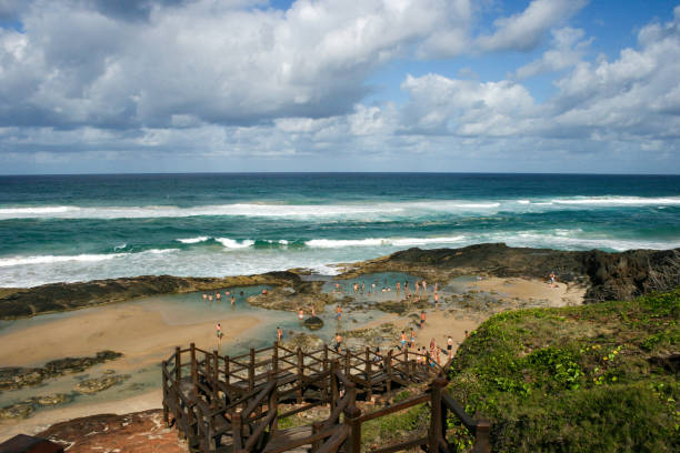 chamapgne pools, fraser island, queensland, australia - 4wd 4x4 convoy australia imagens e fotografias de stock