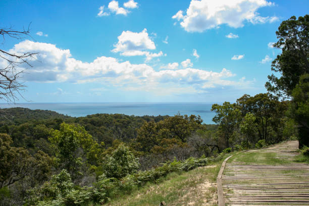 leuchtturm von fraser island, queensland, australien - 4wd 4x4 convoy australia stock-fotos und bilder