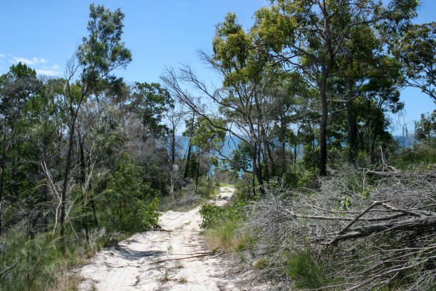 farol da ilha fraser, queensland, austrália - 4wd 4x4 convoy australia - fotografias e filmes do acervo