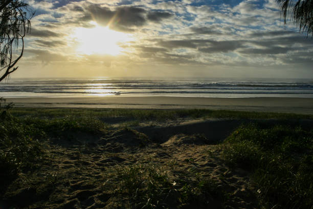 camping in the dunes of fraser island, queensland, australia, biggest sand island in the world - 4wd 4x4 convoy australia imagens e fotografias de stock