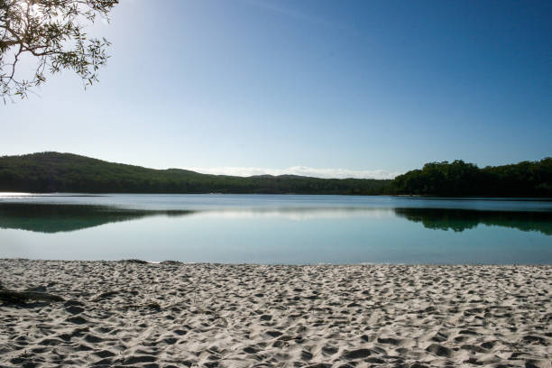 lake mckenzie, fraser island, queensland, australia, biggest sand island in the world - 4wd 4x4 convoy australia imagens e fotografias de stock