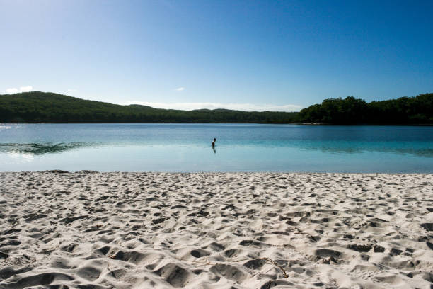 lake mckenzie, fraser island, queensland, australien, größte sandinsel der welt - 4wd 4x4 convoy australia stock-fotos und bilder