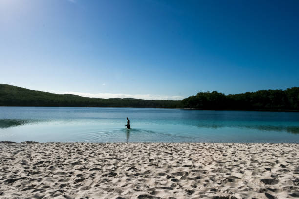 lago mckenzie, ilha fraser, queensland, austrália, maior ilha de areia do mundo - 4wd 4x4 convoy australia - fotografias e filmes do acervo