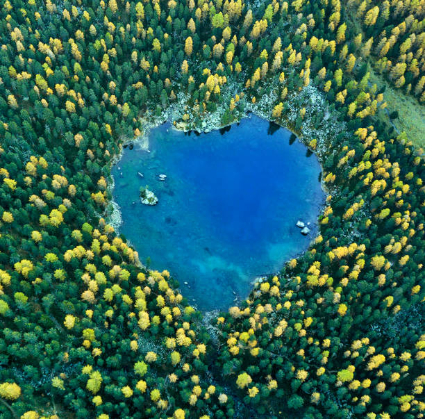 vista aérea sobre o lago saoseo em forma de coração - graubunden canton fotos - fotografias e filmes do acervo