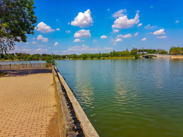 istock lookout point on a beautiful lake in a park 1283179882