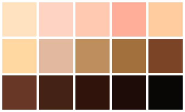 Human skin tones color palette set. Skin color from the lightest to darkest brown hues, coloring of a person face and body complexion. Vector illustration. Human skin tones color palette set. Skin color from the lightest to darkest brown hues, coloring of a person face and body complexion. Vector illustration skin tone chart stock illustrations