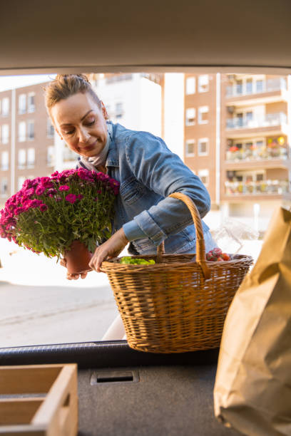 istock Putting a basket full with groceries in a car trunk 1283183230